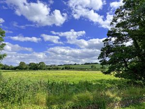 View- click for photo gallery